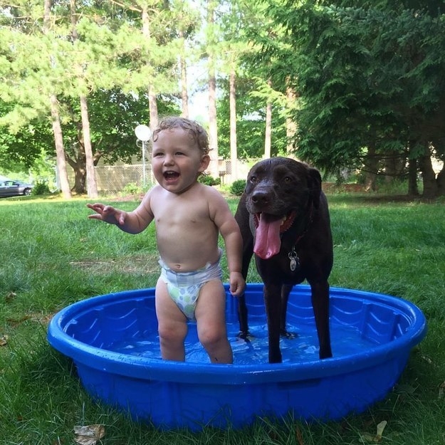 23 Reasons Why Kids Need To Grow Up With Dogs!