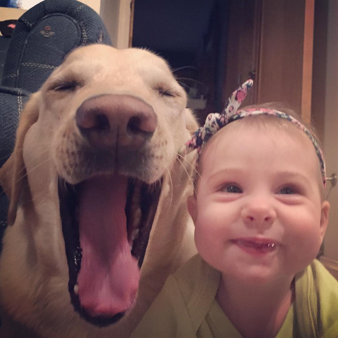 22 Pictures Of Babies And Their Pups…