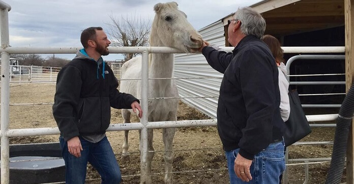 Old Horse At A ‘Kill Lot’ Decides To Save…