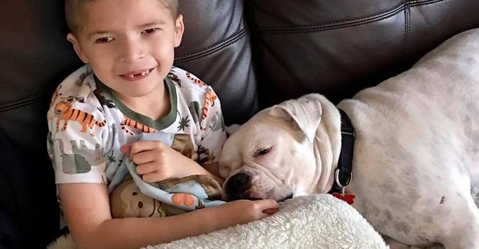 Deaf Dog Becomes Best Friend With A Little Boy Who…