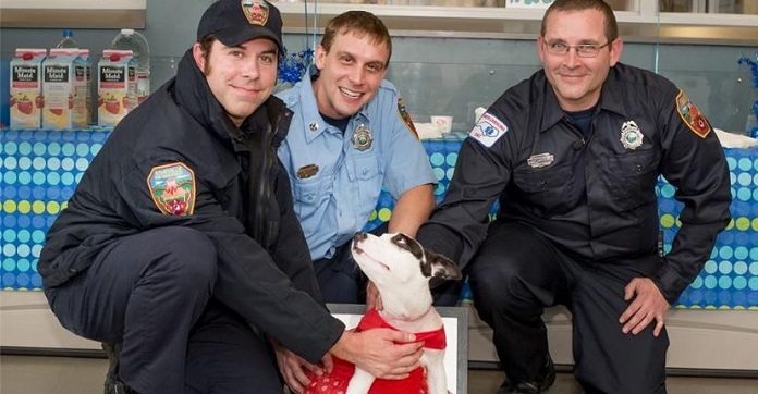 Thankful Puppy Reunites With Heroes Who Saved…