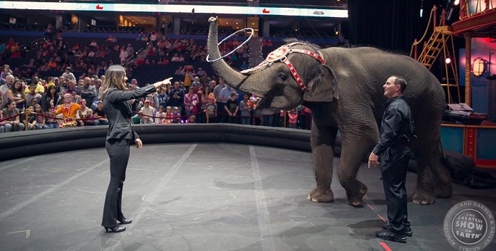 Ringling Bros. Circus Announced That They Are Shutting Down…