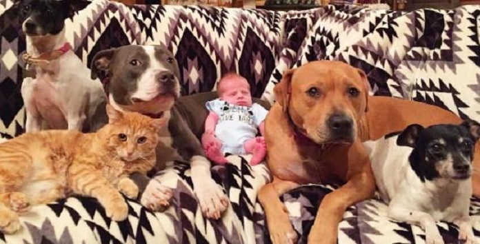 Family Of Pets Is So Obsessed With…