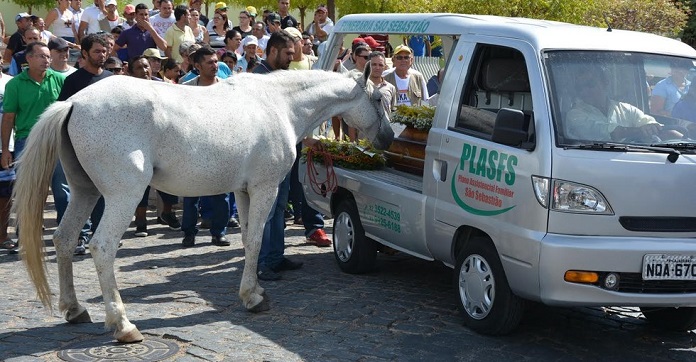 Horse Says Final Goodbye To His Best Friend Leaving…