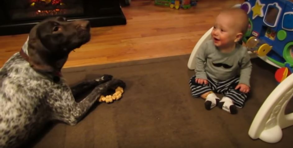 Baby Loses His Wits Each Time His…