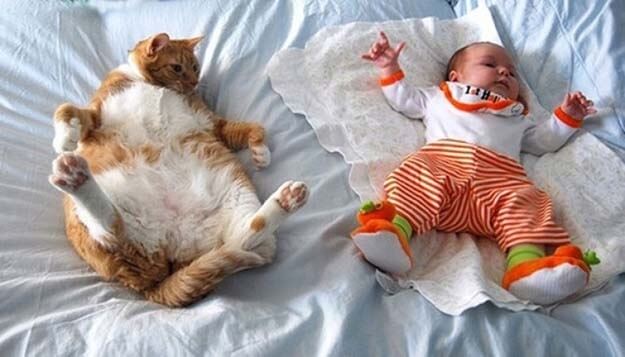 21 Photos Of Babies With Their Cat BFFs. Picture…