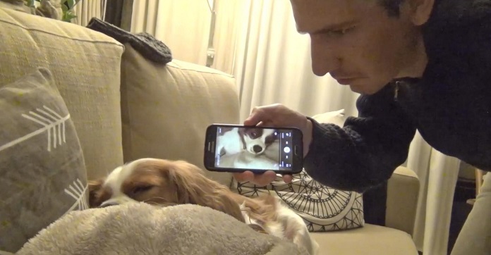 Dog Fast Asleep Gets Woken Up By The Sound Of…