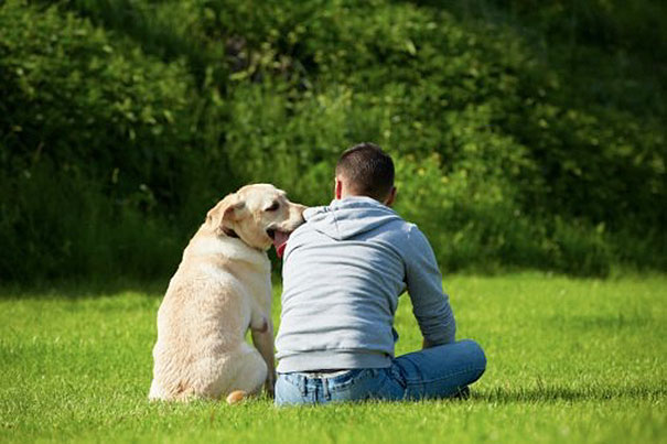 100 Dads Who Swore They HATED Dogs… Until They Had…