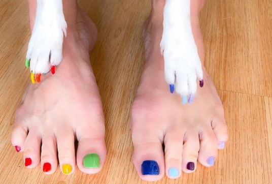 People Are Getting Matching Pedicures With Their Dogs