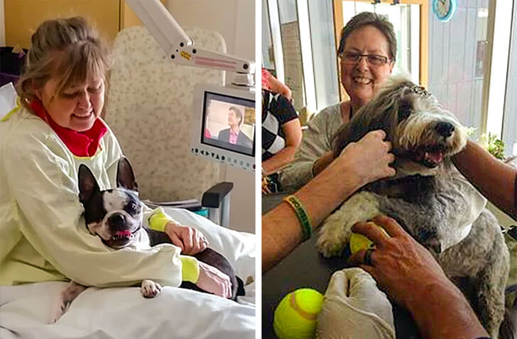 This Canadian Hospital Lets Their Patients Meet Pets To Get…