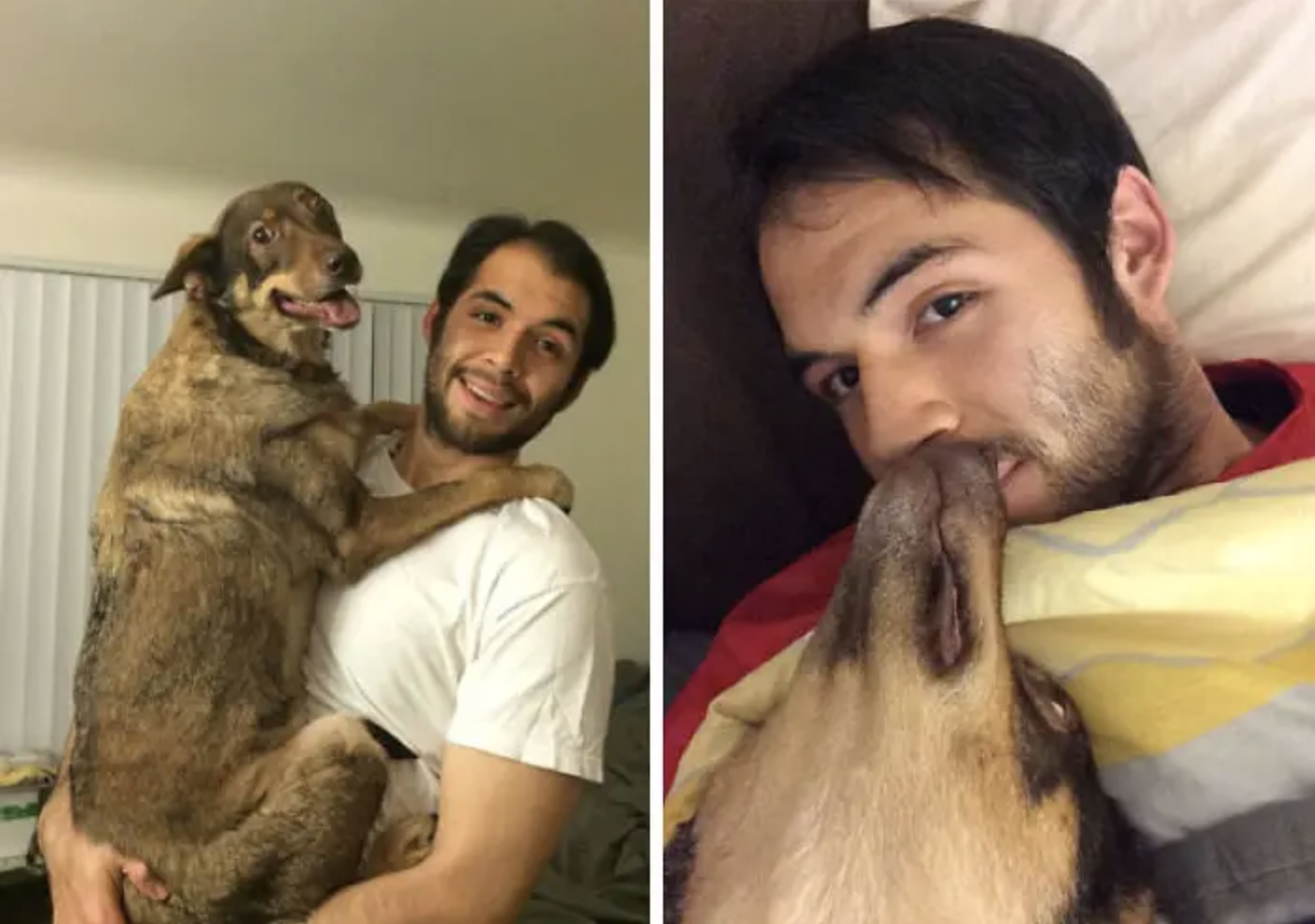 These Pets Stole Their Owner’s Love And Do Not Feel Sorry About It