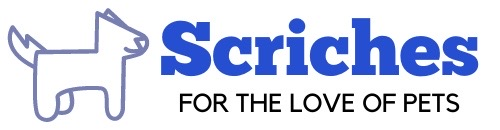 Scriches